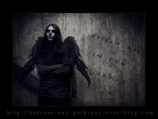 Follow me in the Shadow - Dark Angel